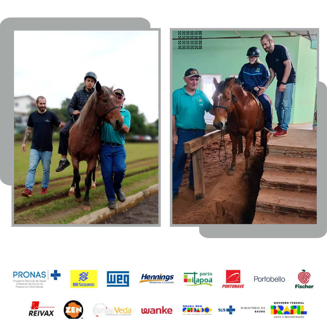 PRONAS - MAIO.2026 / PROJETO LUDOTERAPIA NA APAE DE SAO MIGUEL DO OESTE - SC.